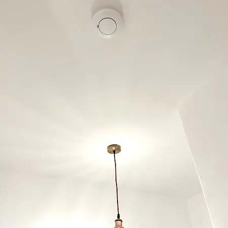 Royal Domus Of Lejlighed