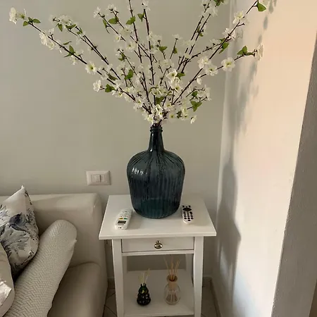 Royal Domus Of Lejlighed